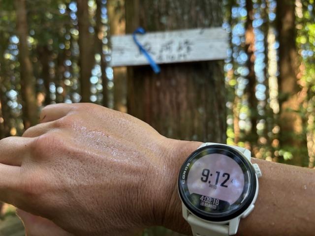 駿河峰９時１２分！<br><br>山中は暑さが半減するが流石にきつい！<br>ここから、宇津ノ谷トンネルまで意外と長い道のり・・・。<br>