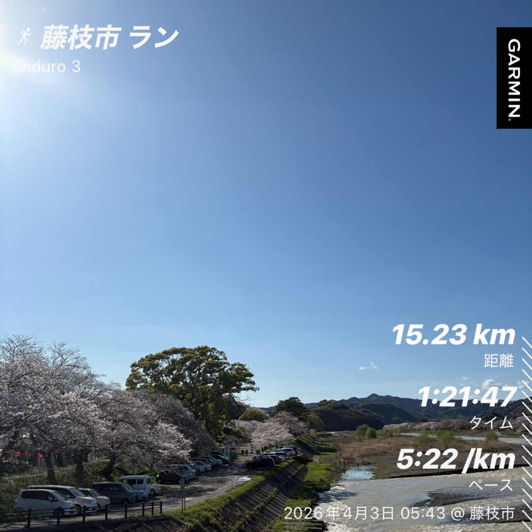 こんにちは！

今日はとても良い天気で花見日和ですね！
日中は上着いらずで過ごせそうな陽気でアクティブに過ごせそうな気がします。

治療院近くに流れている瀬戸川沿いは約２kmの桜並木があります！先週はまだ
5〜７分咲きでしたが昨日の時点でほぼ満開ですね！

夜はライトアップされて綺麗ですので是非、楽しんでみてはいかがでしょうか！？

明日が雨が強いそうなので今日のうちに( ◠‿◠ )

さて、今朝の朝活ジョグは久々の15km走のジョグ！ここ最近は登りに特化した練習でしたので
今日はロードを長く走ってきました。
静岡マラソン終わってからロード15kmははじめてですね( ´∀｀)

いつも以上に心肺数が上がっているような気がしました・・・。

ロードと登りはやはり違うなと改めて実感することもできましたし、偏りすぎても
よくないなと実感しましたのでロードの15km走も週1〜２回は実施しようと
走りながらメニューを組みなおすしていました。
抽選が通れば12月のITJに参戦して前回のリベンジを果たしたいと計画しています。
（前回は65km地点残り約５kmでハンガーノック状態で動けなくなり1時間ストップ
なんとか、サポートもあり復活して完走）その為にも、走力＆登り力を並行して
今年はいつも以上に行っていきます。

3月は走行距離が200kmの登りが4,000m想定よりもだいぶ低いですが
4月からは上げて300kmの8000mぐらいを目標にやっていきます！！

想定よりもだいぶ低かったのですが今朝のジョグ終盤にある急登ですが
以前より楽に登り切ることができました。
１ヶ月でここまで変わるのかとびっくりですね。やれば身体は変わる！！

引き続き目標に向かってガチでやっていきます( ◠‿◠ )

週末はやいづ港マラソン！当初は大雨＆雷みたいな大荒れ予報でしたが
今朝見たら回復！例年通り暑いやいづ港マラソンになりそうです！

走る前に補給（ミネラル）！ハーフの方はこまめにミネラル系の補給をしましょう！
摂取し過ぎもよくないので適度に！！
参加されるかた頑張ってください！！

関東インカレも併催するので今年は大いに盛り上がるでしょう✌︎('ω'✌︎ )

では良い週末を！