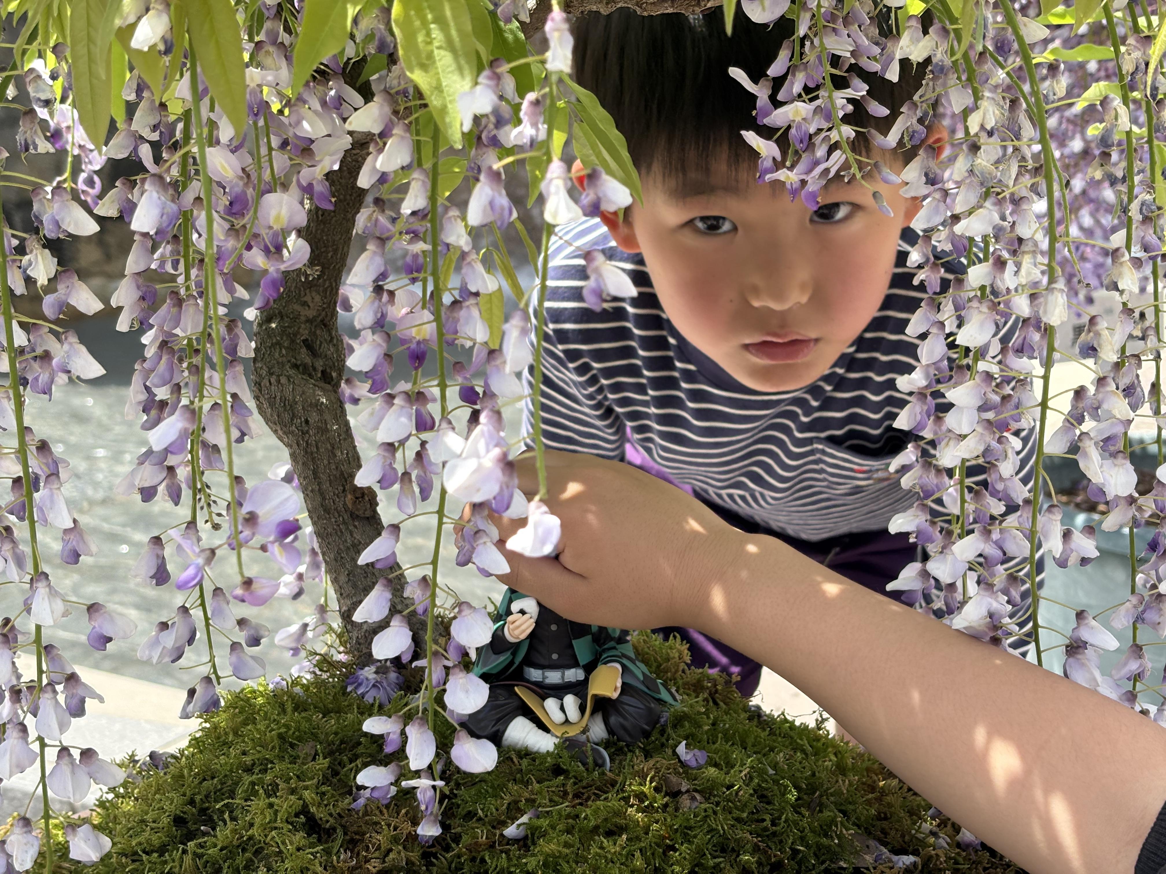 撮られたい年頃！！６歳児！カメラ大好き男のデス！姉！！怒る????<br>