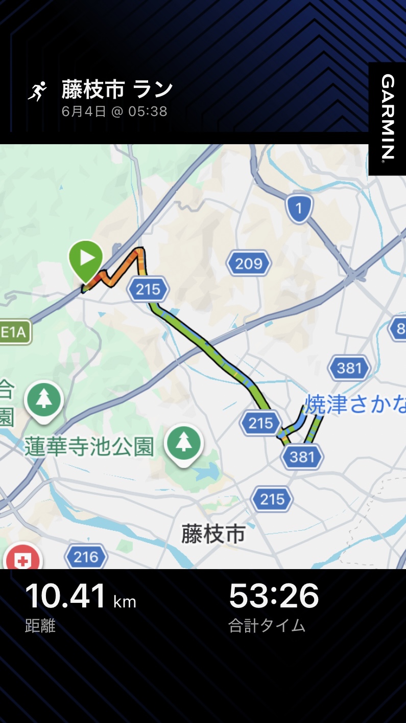 こんにちは！

昨日は台風で各地で被害が出たところも多々ありましたが
幸い私の付近は大きな被害もなく過ぎ去ってくれて何よりでした。
昼過ぎには日もでてだいぶ蒸しぃーーーーーーーっとした
午後でしたね♪(´ε｀ )

そんなこともあり、月〜水曜日はノーラン！
ストレッチや昨日はハードめは筋トレはしましたが、レースも無いのに
3日走らなかったのは久々でした。

今朝はゆっくり10kmジョグ

脚の感触も確認しながらフォームも気にしながら走りました。

右ふくらはぎから足首内側に痛みがしばらくあったのですが、
いつの間にか、解消していて何より！ですが、油断は禁物です。
レースまではまだ6週間と3日あるので慌てずに、
追い込んでいこうと思っています。

今朝は、ミストシャワーランでとても走りやすかったです。
しかし
あと1週間もすれば、蒸し蒸ししてくるでしょう( ´Д`)y━･~~
耐えどきですね！
走るモチベーションを保つことも難しくなってきます。

何か目標を掲げることによって
維持しやすいかと思いますので、是非目標設定をしましょう！！

レースに出場でもいいと思いますし！夏までに○kgまで減量とか！
実現しやすい設定がいいですね！

6月は体内に余分な水分を溜め込みやすいのでより水分補給をこまめに計画的に摂取して
巡りをよくしていきましょう！
自分は、バナナをよく食べます！

カリウムを多く含んでいるので！カリウムは体内から余分な水分を
排出してくれる作用があります。

摂取しやすいものをセレクトし継続してみましょう( ◠‿◠ )

さぁ〜週の後半戦もアクティブに！！！